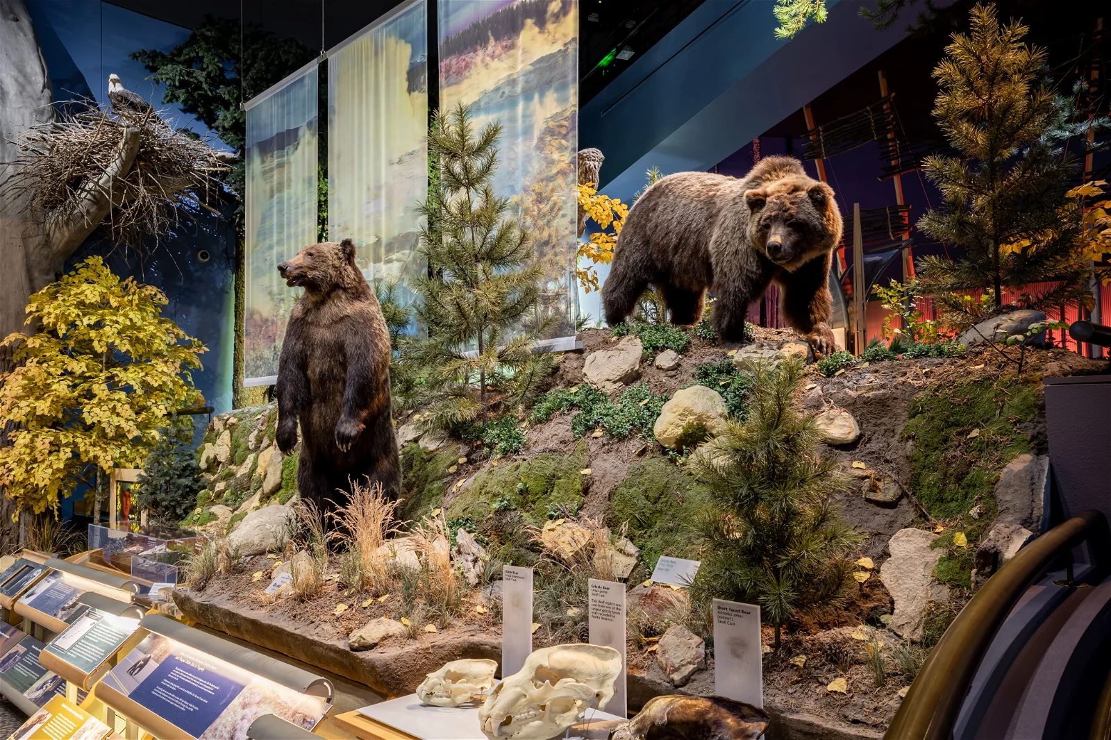 Buffalo Bill Center of the West