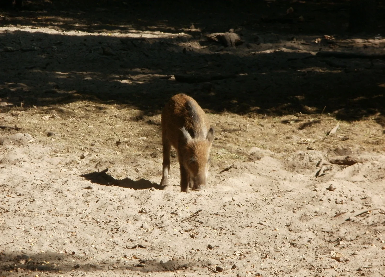 Wildgehege Oftersheim