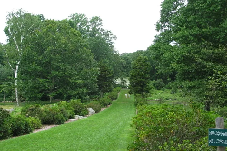 Arboreto del Connecticut College