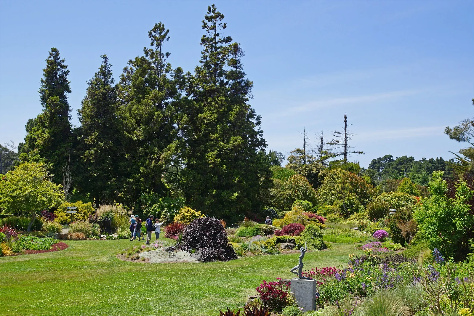 Mendocino Coast Botanical Gardens