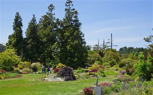 Mendocino Coast Botanical Gardens