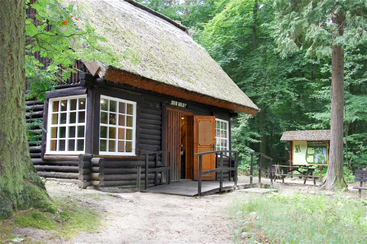 Waldmuseum Stendenitz