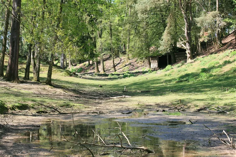 Wildpark Schwarzach
