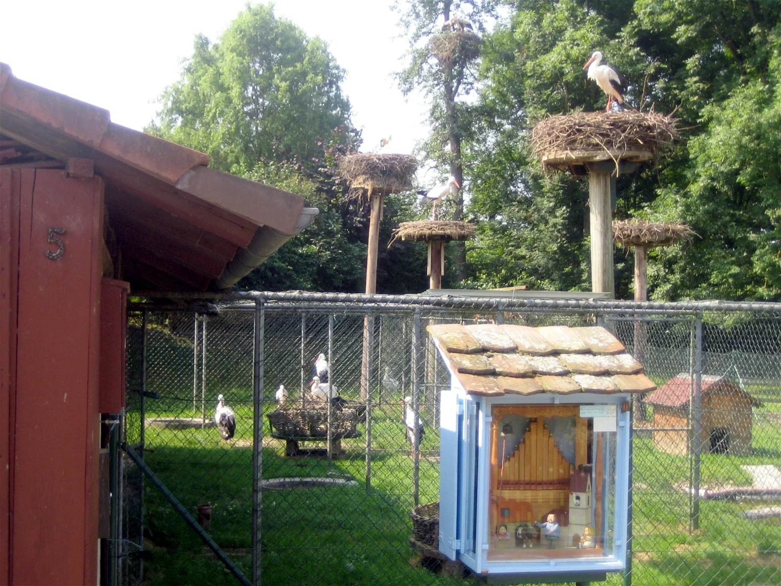 Storchengehege Holzen