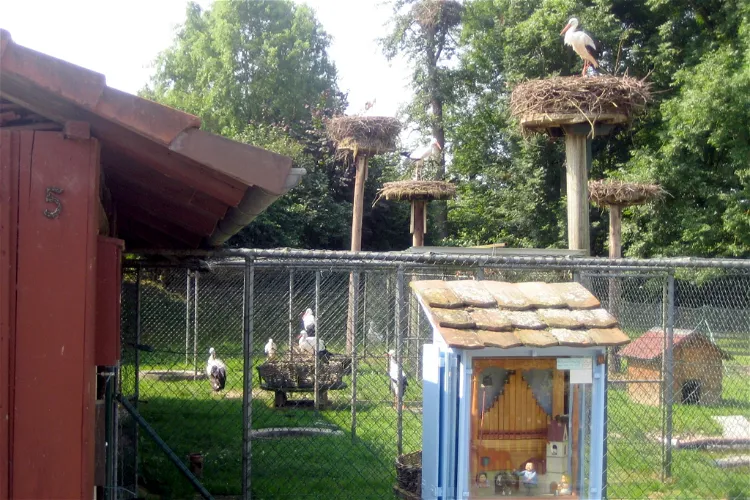 Storchengehege Holzen