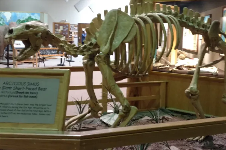 The Mammoth Site