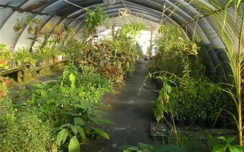 University of South Florida Botanical Gardens