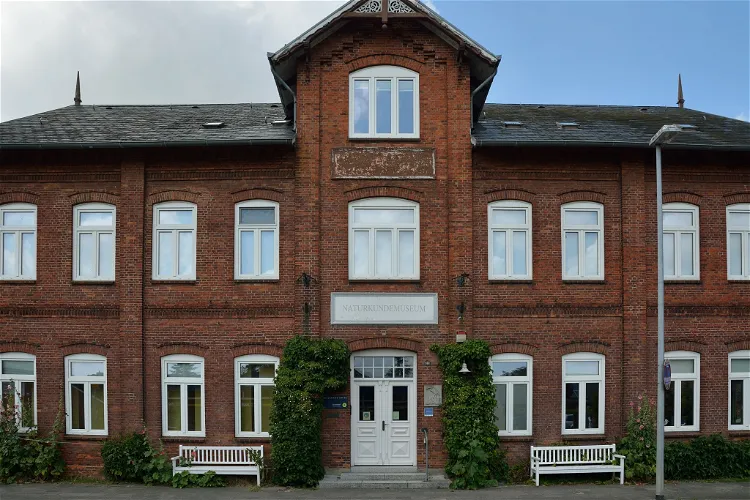 Naturkundemuseum Niebüll