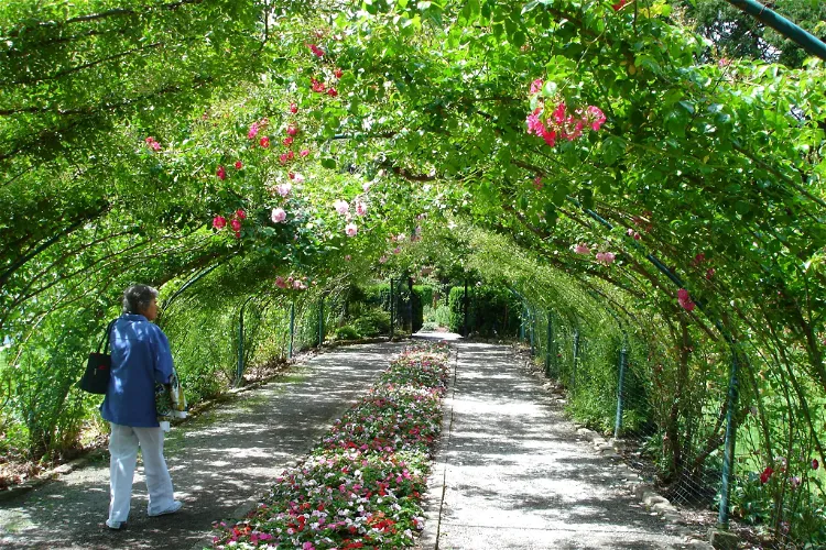 Point Defiance Park