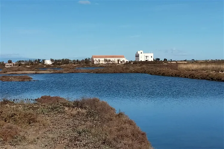 MónNatura Delta de l'Ebre