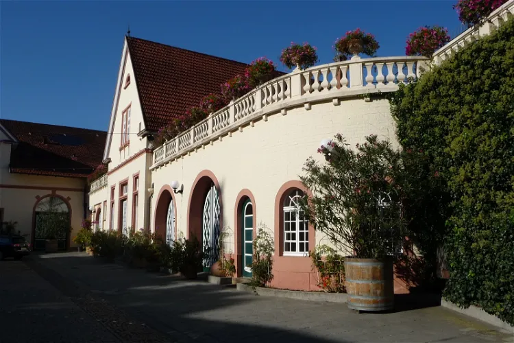 Schloss Wachenheim