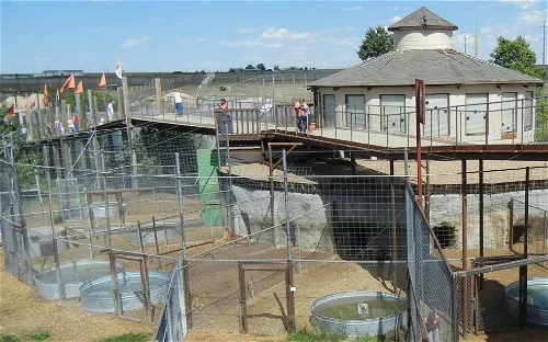 The Wild Animal Sanctuary