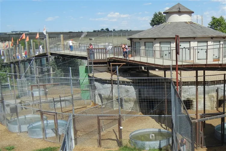 The Wild Animal Sanctuary