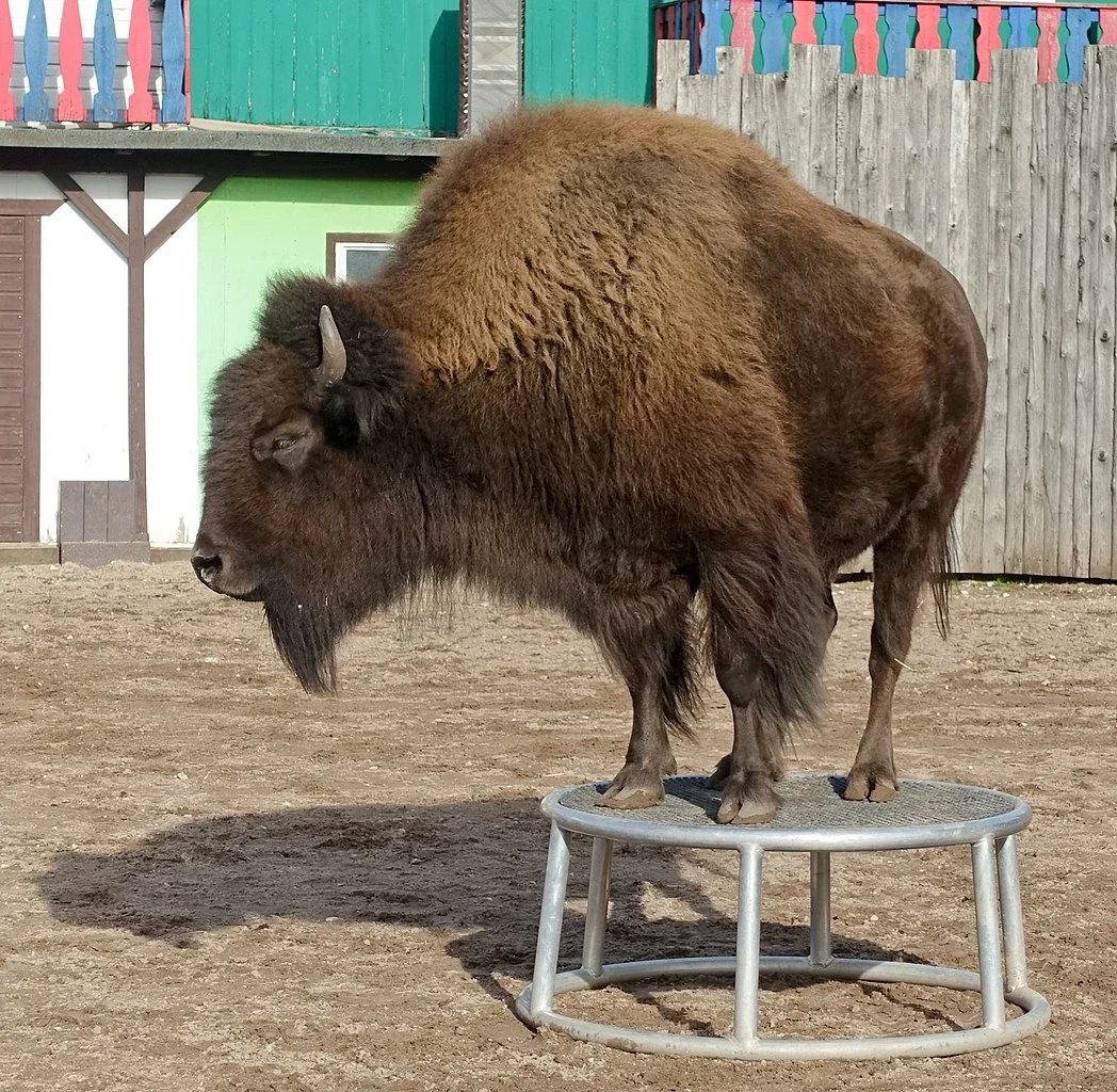 Safariland Stukenbrock