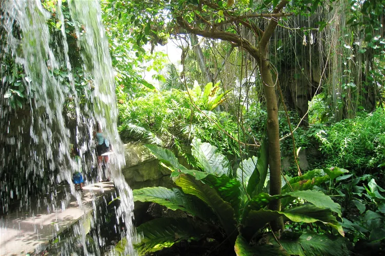 Jardín botánico de Cleveland