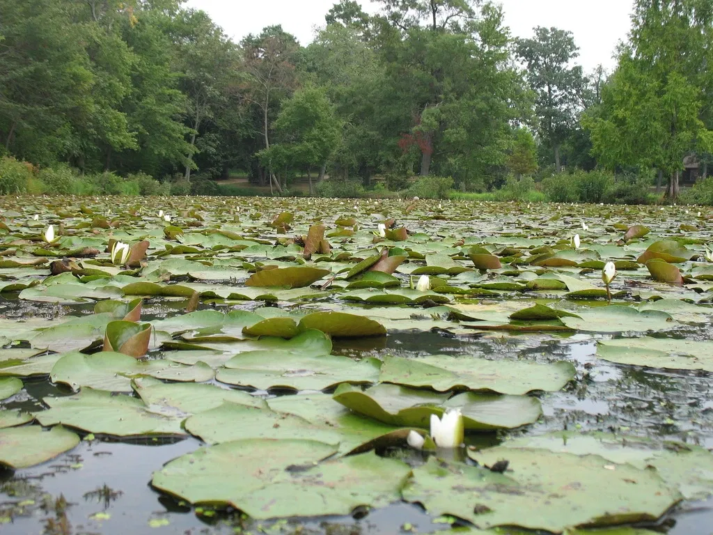 Kenilworth Park and Aquatic Gardens