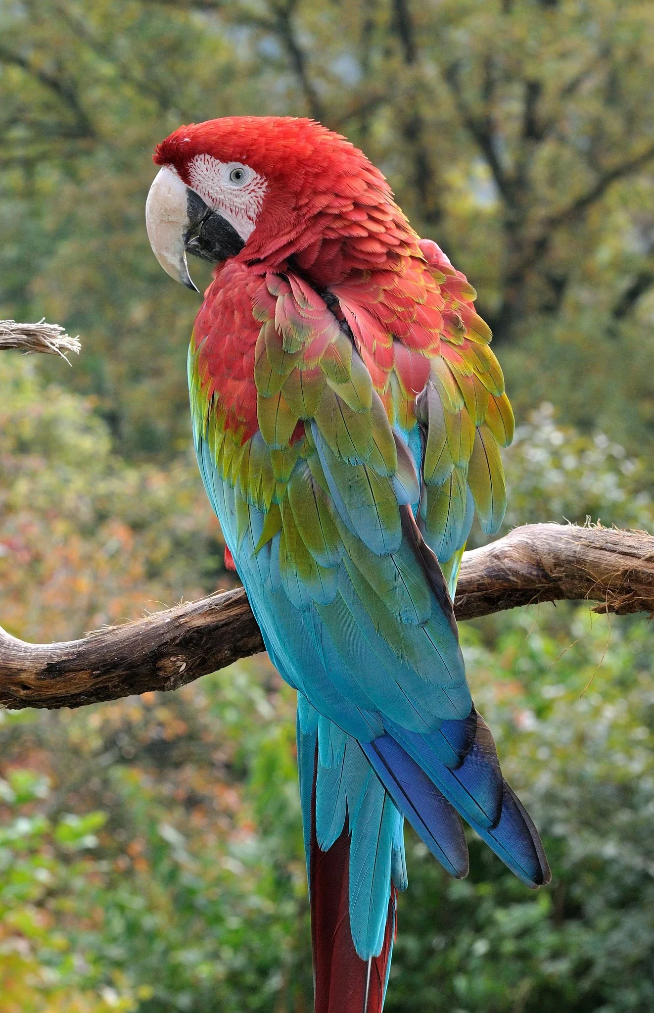 Tierpark Herborn GmbH