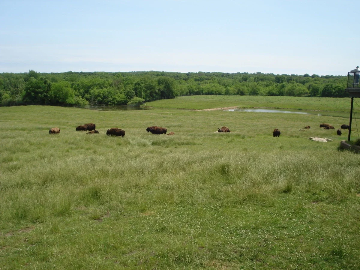 Wildlife Prairie Park