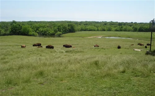 Wildlife Prairie Park