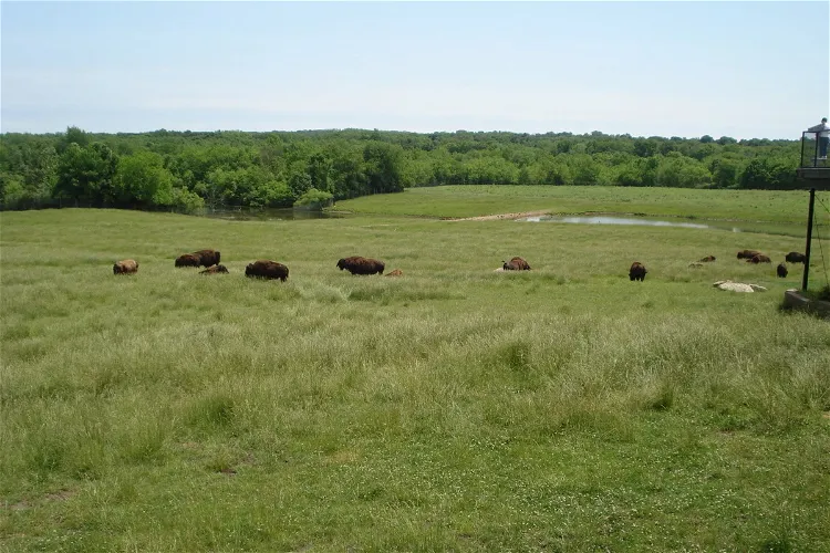 Wildlife Prairie Park