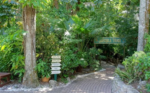 Sarasota Jungle Gardens