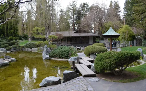 Japanese Friendship Garden