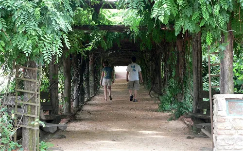 Coker Arboretum
