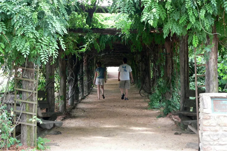 Coker Arboretum