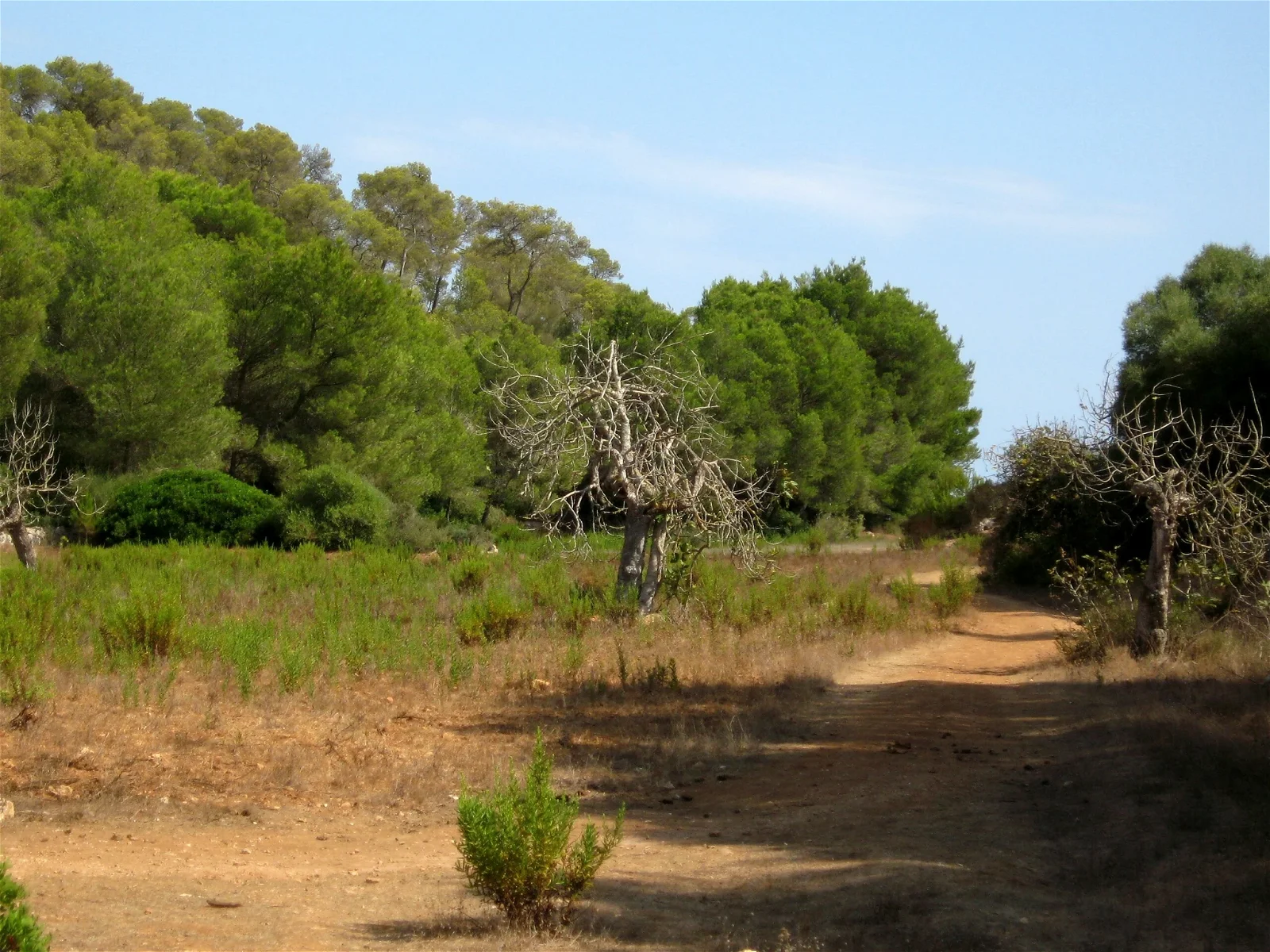 Mondrago Natural Park