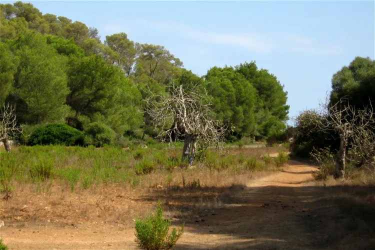 Mondrago Natural Park