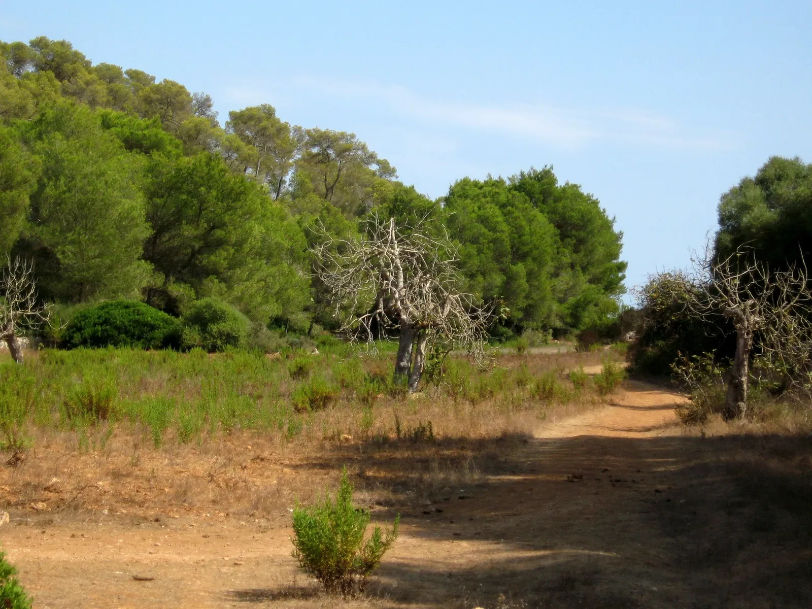 Parc natural de Mondragó