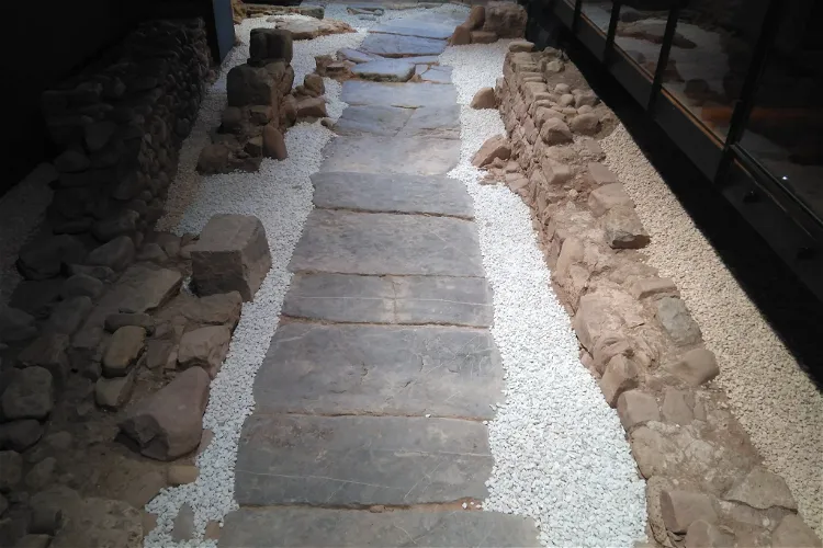 Museo Via Del Portico