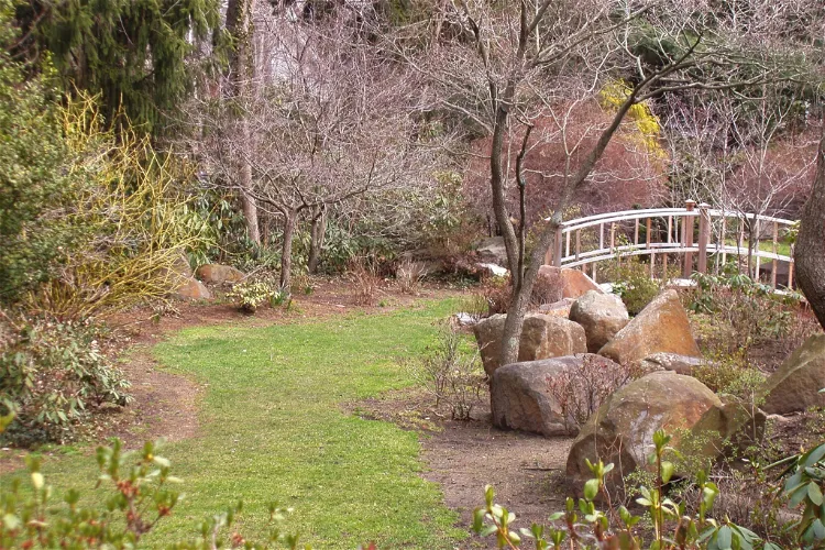 Jardín botánico del parque Sayen