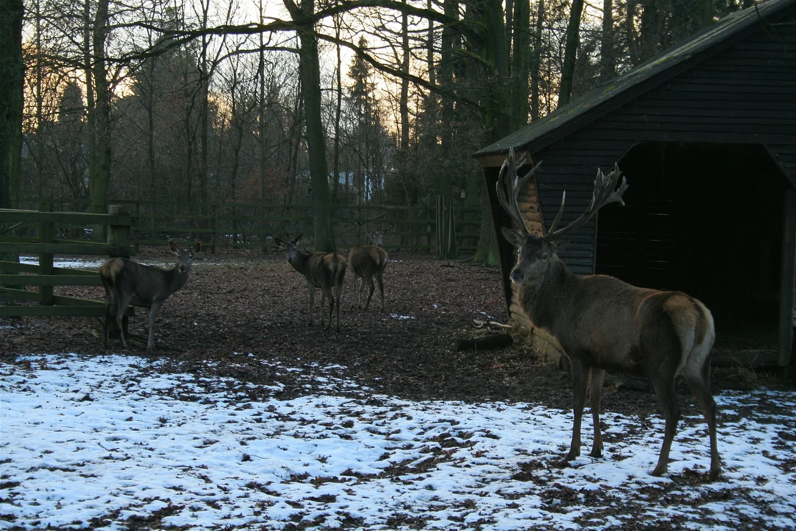 Tierpark Tannenbusch