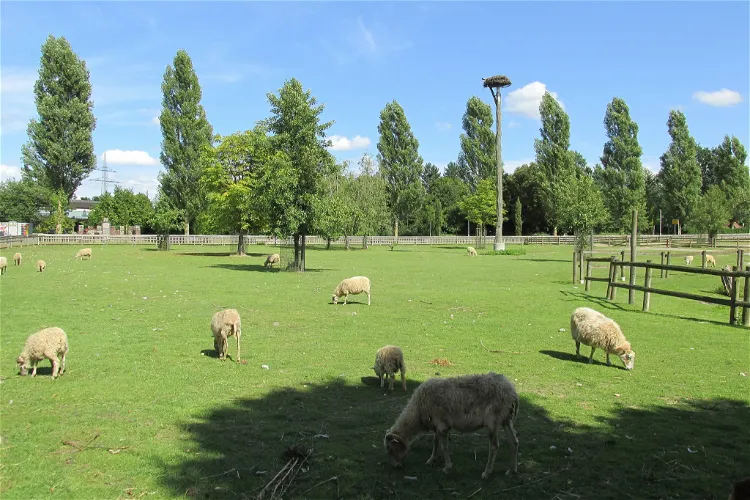 Tiergehege