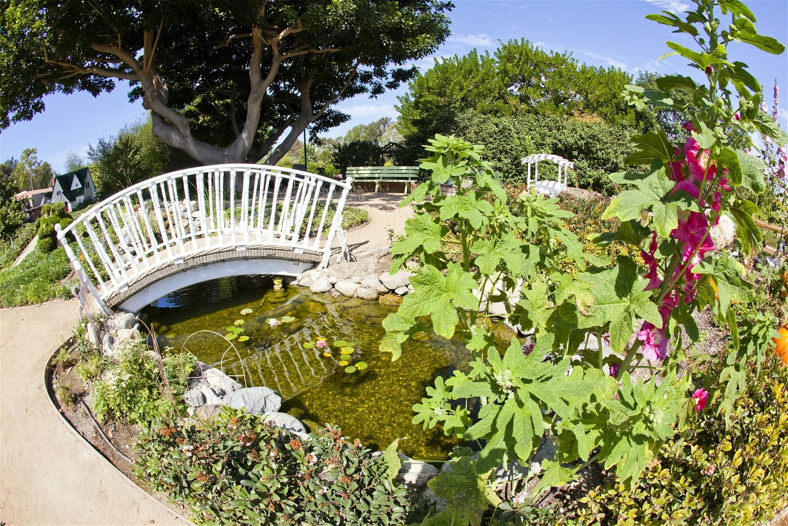 South Coast Botanic Garden