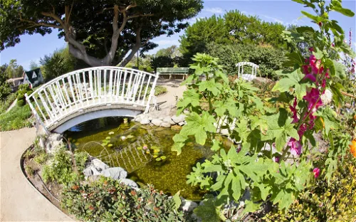 South Coast Botanic Garden