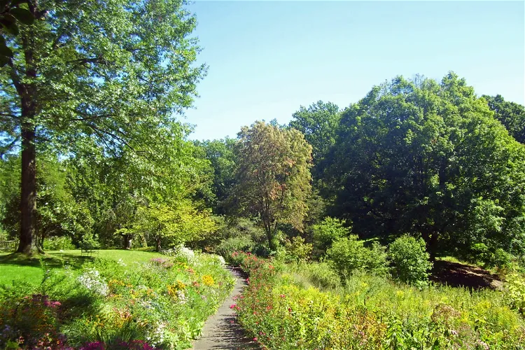 Arboreto Reeves-Reed