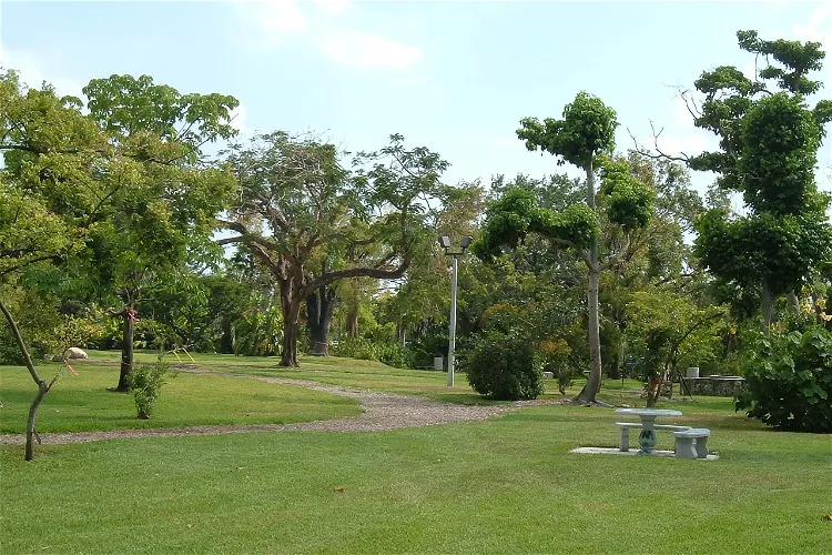 John C. Gifford Arboretum