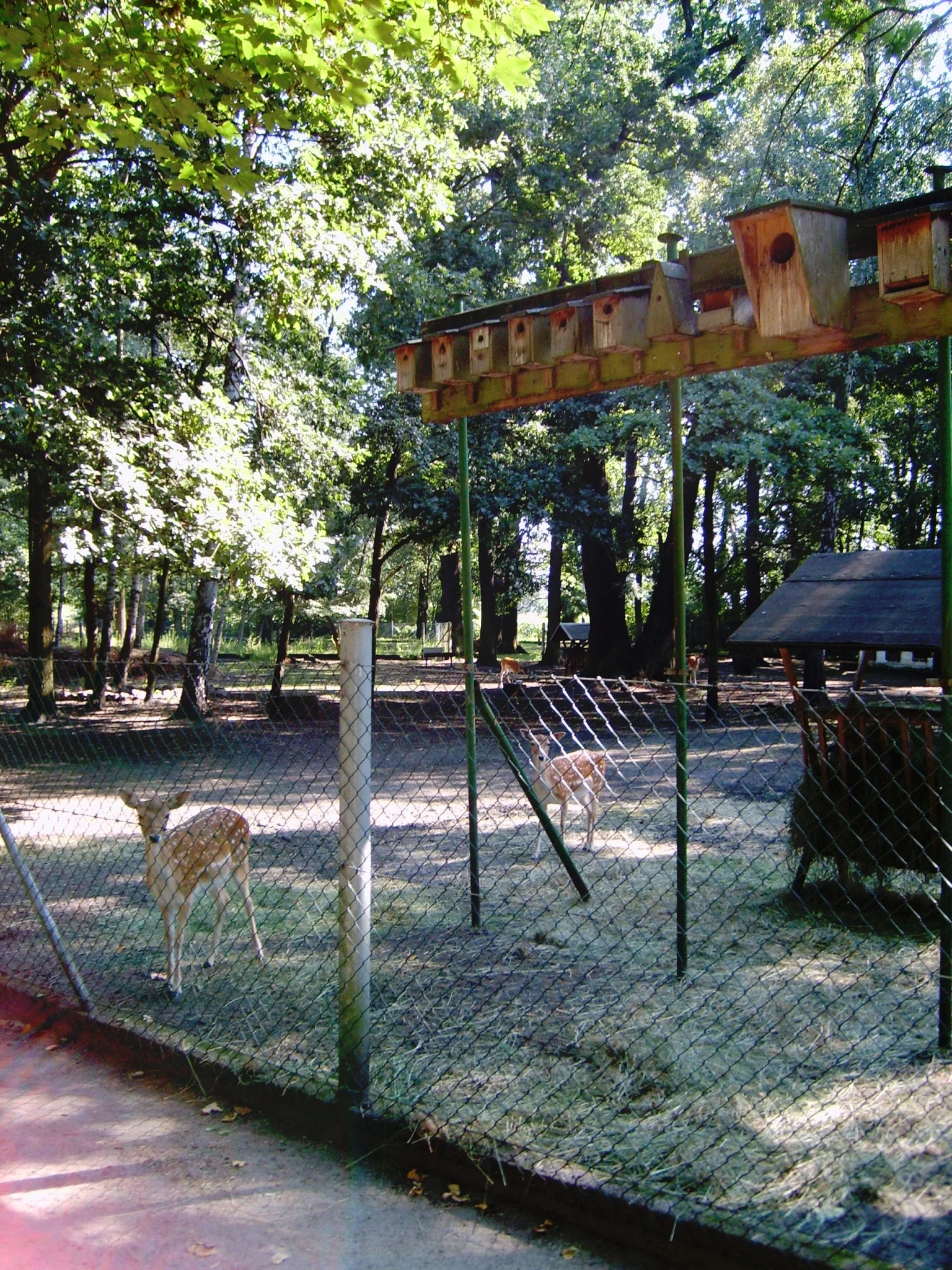 Tiergehege im Schlosspark Lauchhammer-West
