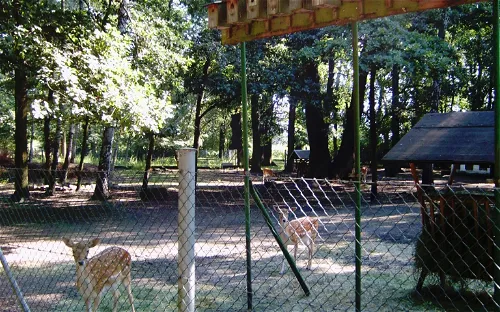 Tiergehege im Schlosspark Lauchhammer-West