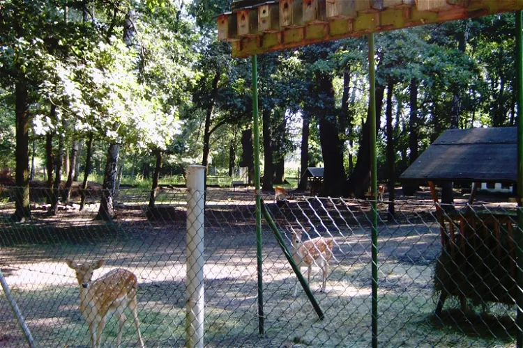 Tiergehege im Schlosspark Lauchhammer-West