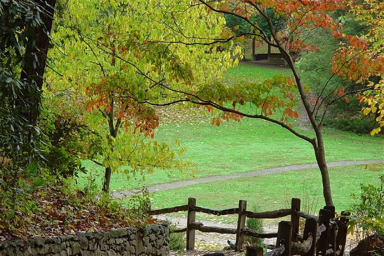 Jardín botánico de Asheville