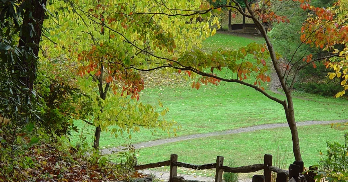 Jardín botánico de Asheville (Asheville) Información para Visitantes