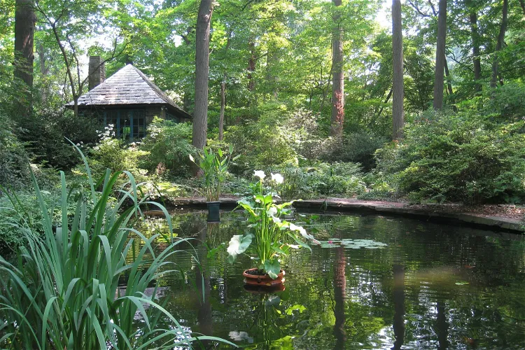 Arboreto de la fundación Barnes