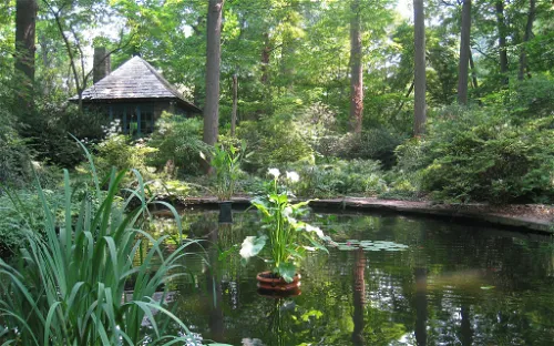 The Barnes Arboretum at Saint Joseph's University