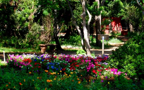 Zilker Botanical Garden