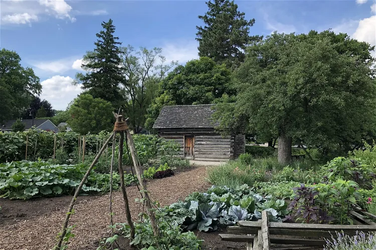 Jardín botánico de Toledo