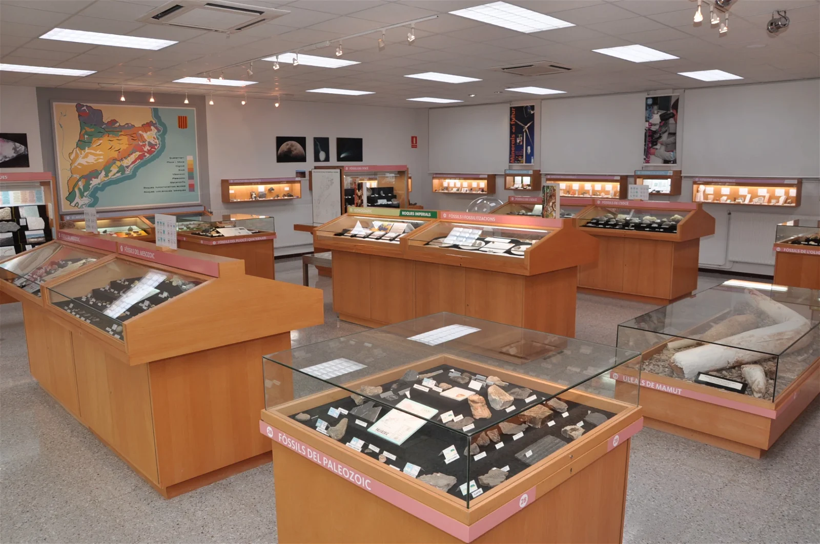 Geology Museum Valentí Masachs