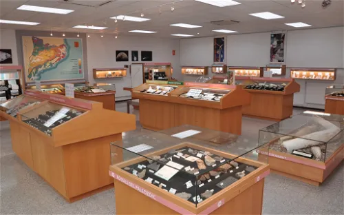 Geology Museum Valentí Masachs